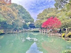 -惠山古镇·寄畅园