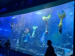 -多彩贵州城极地海洋世界