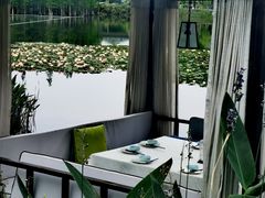 -白鹭湾湿地公园