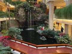 -广州白天鹅宾馆