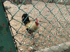 -南京金牛湖风景区