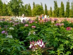 -艾溪湖湿地公园