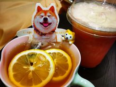 -逗柴咖啡屋·狗咖猫咖宠物桌游
