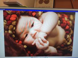 点击看大图 -苏菲亚婚纱影楼尊爵店(昆区店)