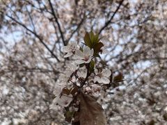 -汉长安城未央宫国家考古遗址公园