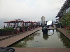 -梧桐餐厅(泉城路店)