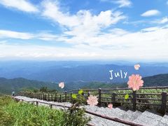 -大围山国家森林公园