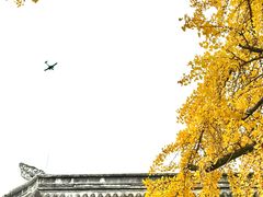 -房湖公园