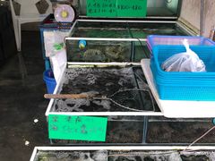 -拉威海鲜市场