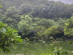 -云溪植物园