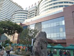 -上海市东方医院(总院)