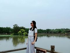 -大湾区中央湿地公园