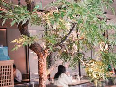 -绿茶餐厅(二七万达店)