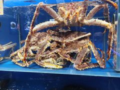 -鹊华居·地道鲁菜·海鲜·融合味(大明湖店)