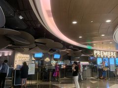 -百美汇影城(LUXE嘉里中心店)