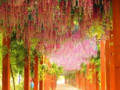 -雪山彩虹谷景区