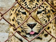 -大连森林动物园