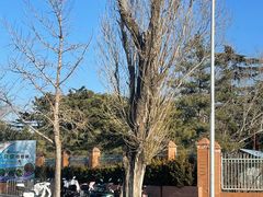 -国家植物园南园