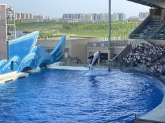-上海海昌海洋公园