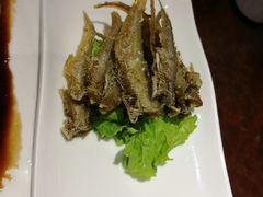 -德兴馆(广东路总店)