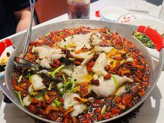 -京城·森鸽排档(双井店)