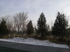 -回龙观体育文化公园