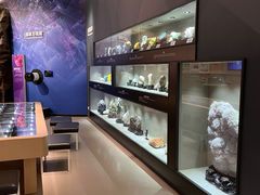 -陕西自然博物馆