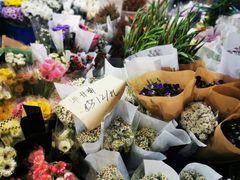 -循礼门鲜花花市(武汉循礼门店)