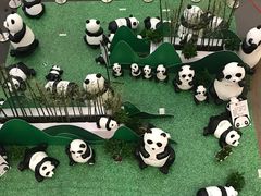 -大连凯丹广场