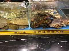 -海小馆海鲜餐厅(茂业百货店)