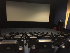-AMG海上明珠影城(上海环球港RealDCinema店)