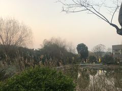 -天目湖涵田半山温泉