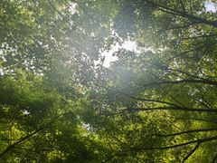 -学知乐教育·幼小衔接·小学科辅导(嘉定镇校区)