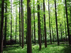 怡沁园度假村-上海怡沁园度假酒店