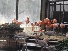 -北京动物园-畅观楼