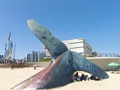 -烟台金沙滩海滨公园