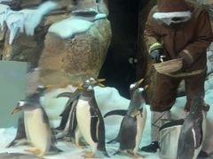 -波塞冬旅游度假区