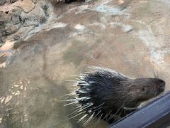 -海南热带野生动植物园