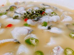 -青花椒花椒鱼(合生汇店)