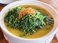 金汤瑶柱豌豆苗-扬州狮子楼·非遗淮扬菜(东关街店)