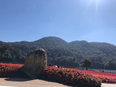 -广州市石门国家森林公园