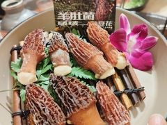 -朱光玉火锅馆(龙阳广场店)