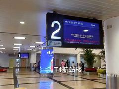 -厦门高崎国际机场-T4航站楼