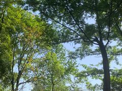 -重庆彩云湖湿地公园