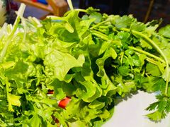 -山里屯铁锅炖(哈尔滨中央大街店)