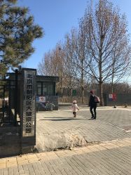 -大望京儿童游乐场