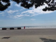 -日照海滨国家森林公园