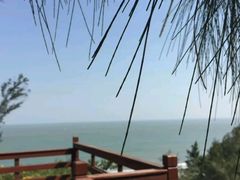 -漳州滨海火山岛自然生态风景区