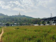 -孔雀湖生态旅游区