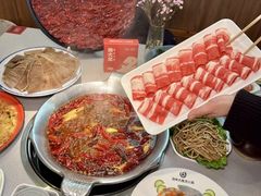 -渝大龙重庆火锅(温泉月亮湾店)